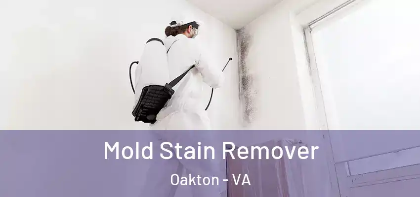 Mold Stain Remover Oakton - VA