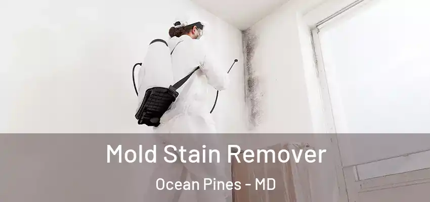  Mold Stain Remover Ocean Pines - MD