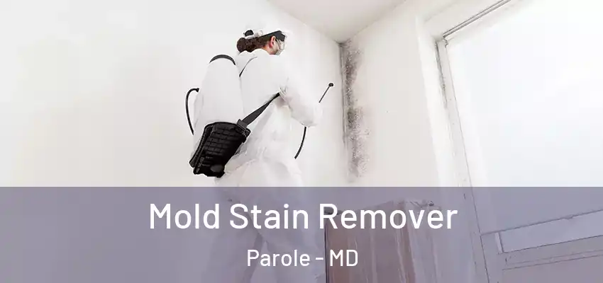  Mold Stain Remover Parole - MD