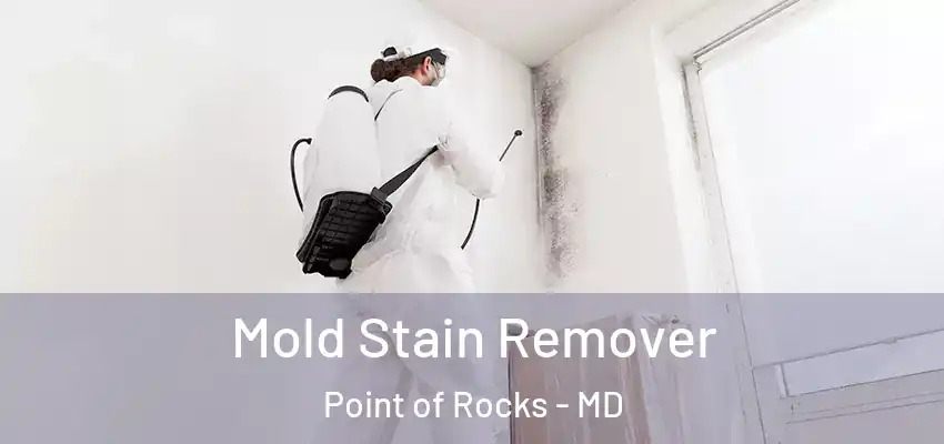  Mold Stain Remover Point of Rocks - MD
