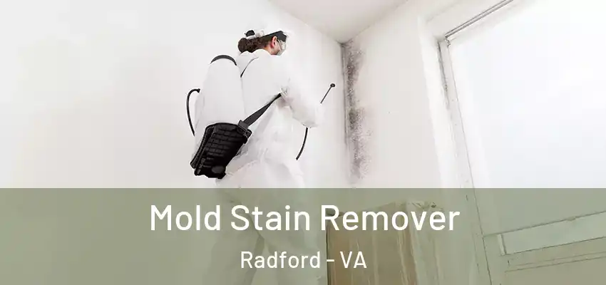  Mold Stain Remover Radford - VA