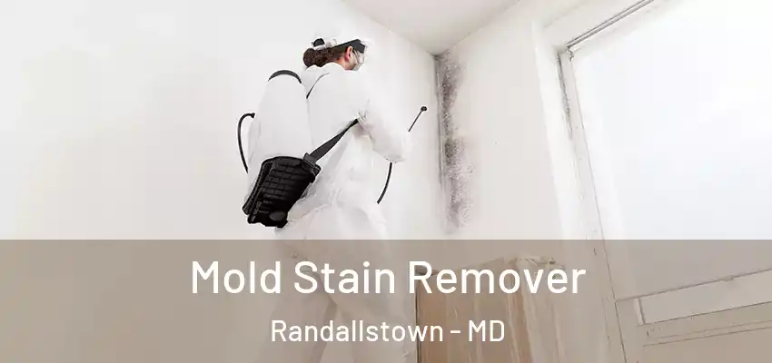  Mold Stain Remover Randallstown - MD