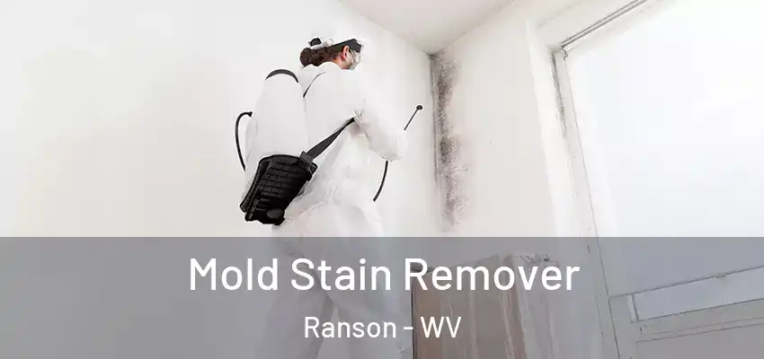  Mold Stain Remover Ranson - WV