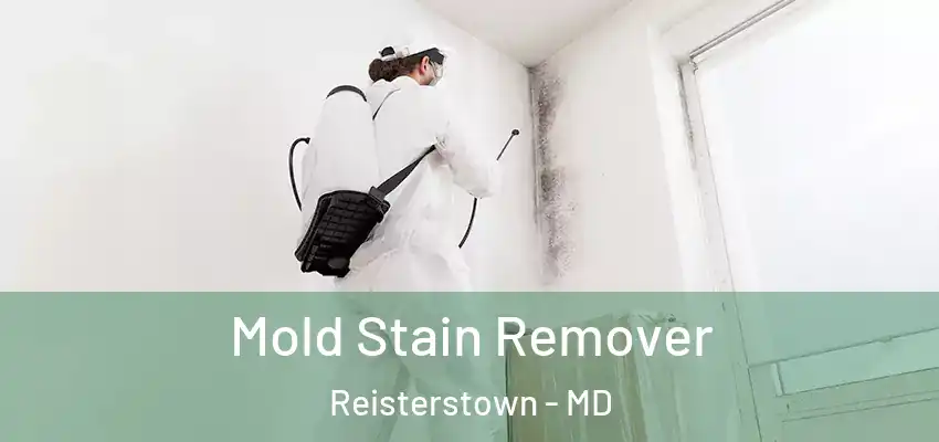 Mold Stain Remover Reisterstown - MD