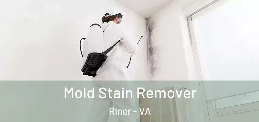  Mold Stain Remover Riner - VA