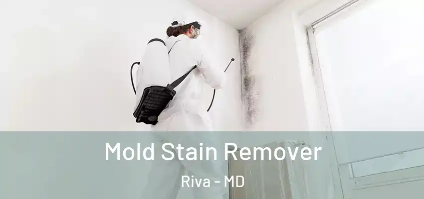 Mold Stain Remover Riva - MD