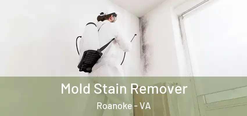  Mold Stain Remover Roanoke - VA