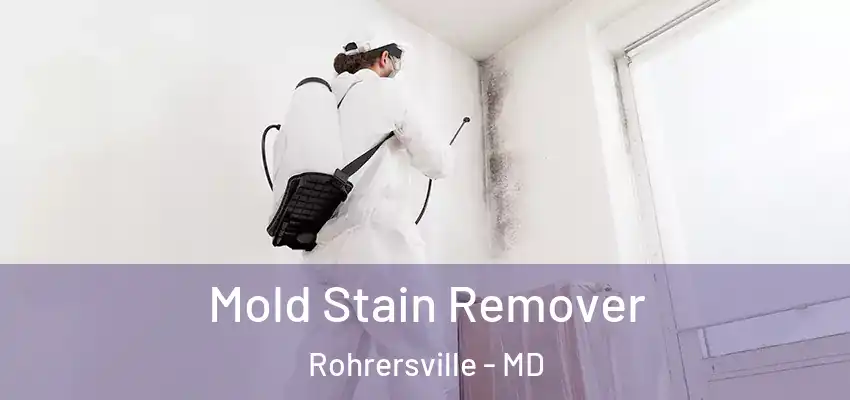 Mold Stain Remover Rohrersville - MD