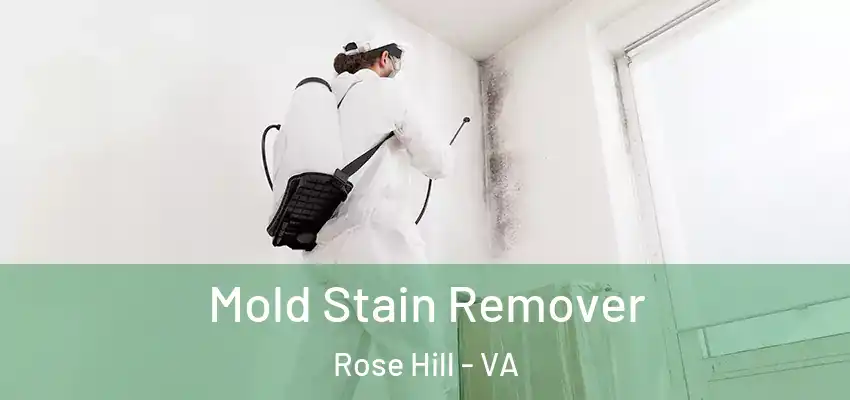 Mold Stain Remover Rose Hill - VA