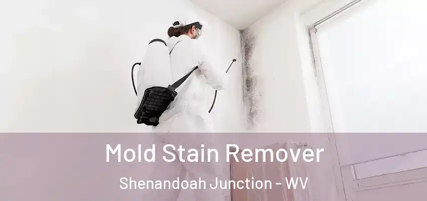 Mold Stain Remover Shenandoah Junction - WV