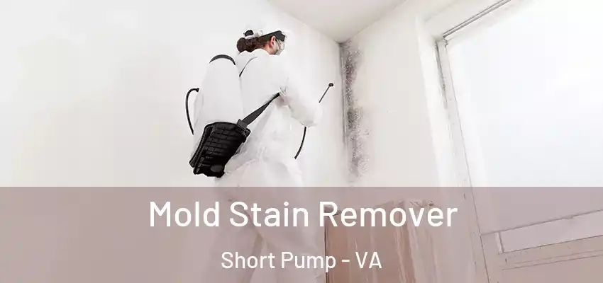 Mold Stain Remover Short Pump - VA