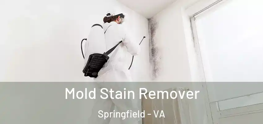 Mold Stain Remover Springfield - VA