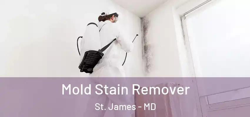  Mold Stain Remover St. James - MD