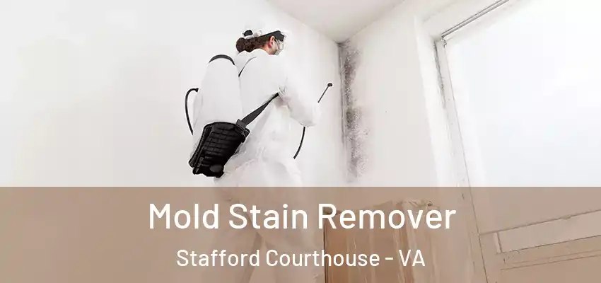 Mold Stain Remover Stafford Courthouse - VA