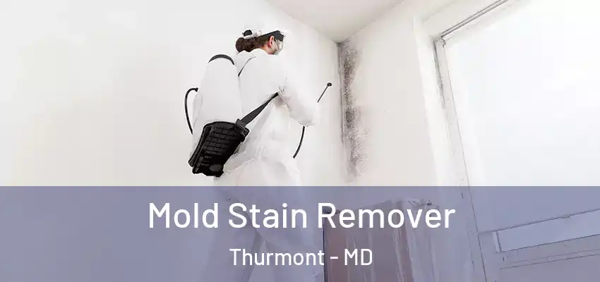  Mold Stain Remover Thurmont - MD