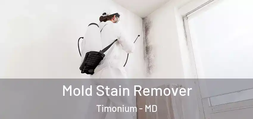 Mold Stain Remover Timonium - MD