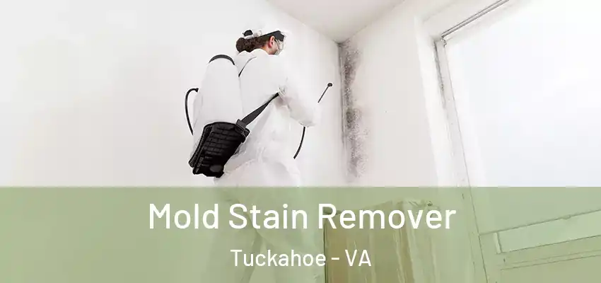 Mold Stain Remover Tuckahoe - VA