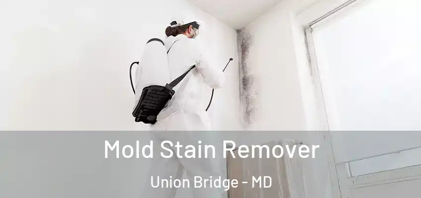  Mold Stain Remover Union Bridge - MD