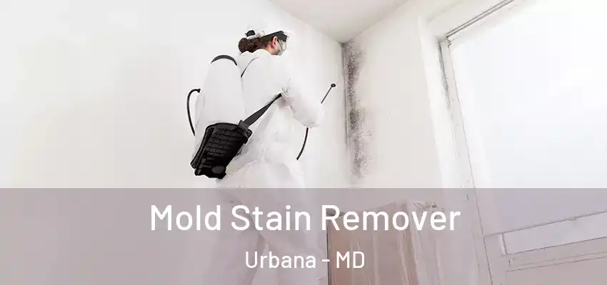 Mold Stain Remover Urbana - MD