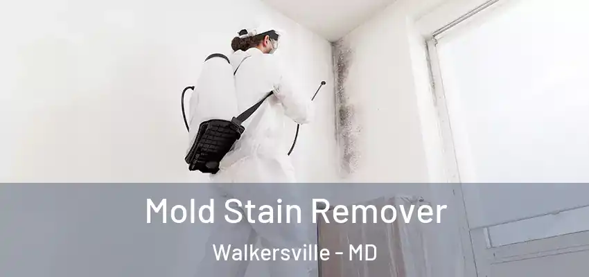 Mold Stain Remover Walkersville - MD