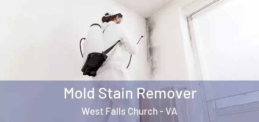  Mold Stain Remover West Falls Church - VA