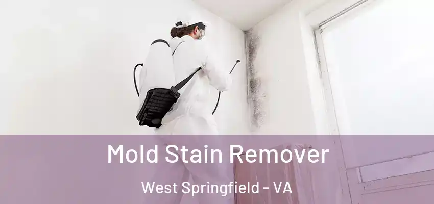 Mold Stain Remover West Springfield - VA