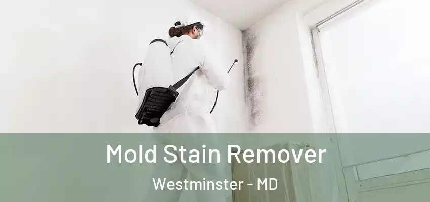 Mold Stain Remover Westminster - MD