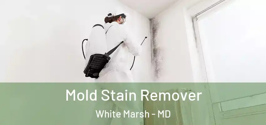 Mold Stain Remover White Marsh - MD