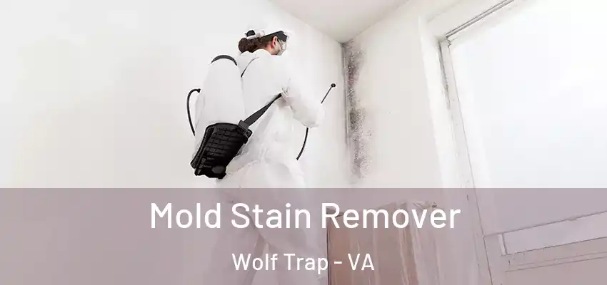 Mold Stain Remover Wolf Trap - VA