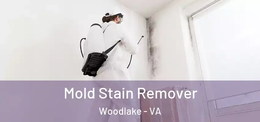 Mold Stain Remover Woodlake - VA