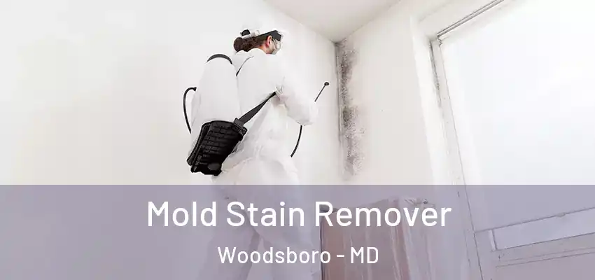 Mold Stain Remover Woodsboro - MD