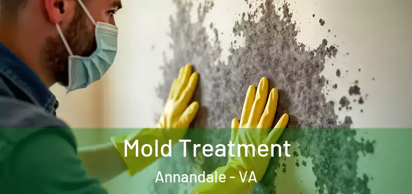 Mold Treatment Annandale - VA