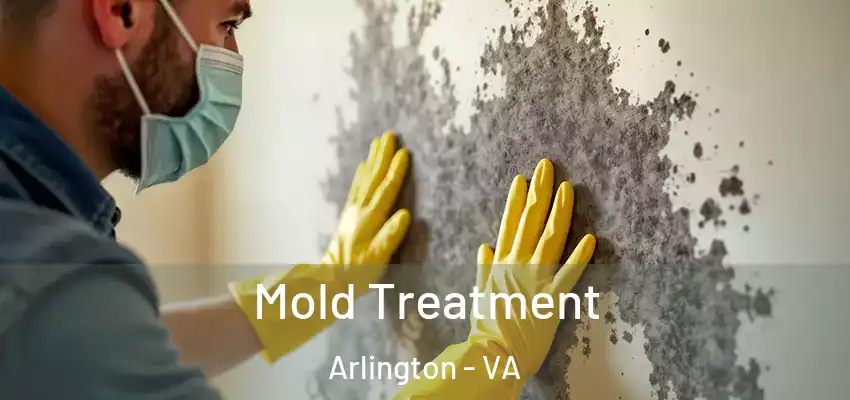 Mold Treatment Arlington - VA