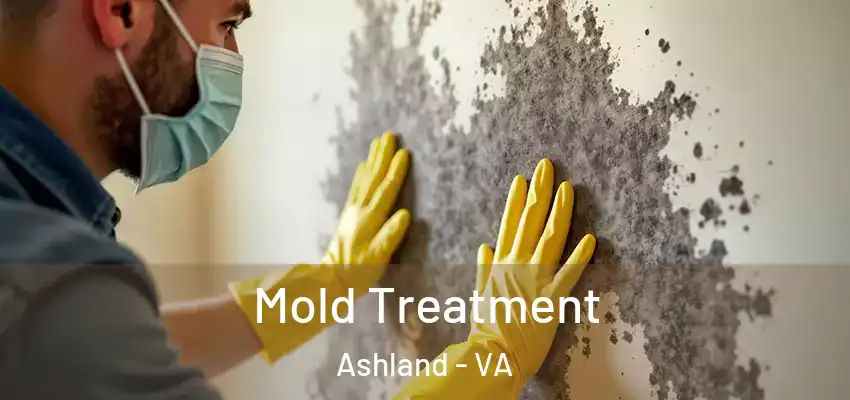 Mold Treatment Ashland - VA