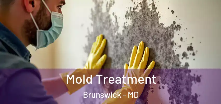 Mold Treatment Brunswick - MD