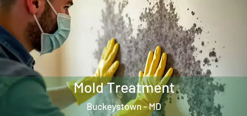 Mold Treatment Buckeystown - MD