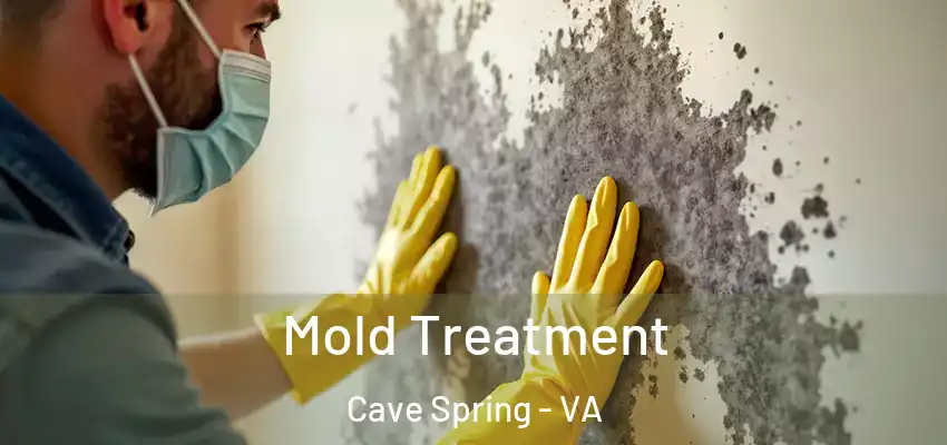  Mold Treatment Cave Spring - VA