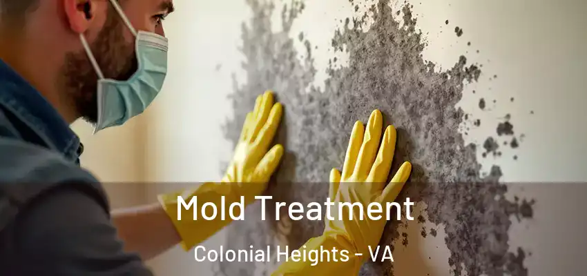 Mold Treatment Colonial Heights - VA