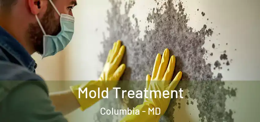  Mold Treatment Columbia - MD