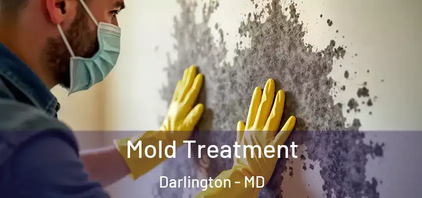 Mold Treatment Darlington - MD