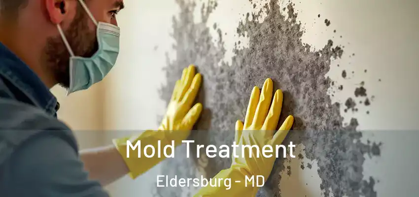 Mold Treatment Eldersburg - MD