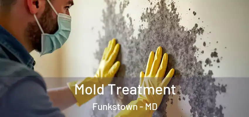 Mold Treatment Funkstown - MD
