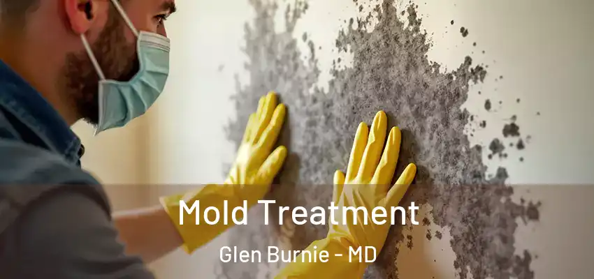  Mold Treatment Glen Burnie - MD