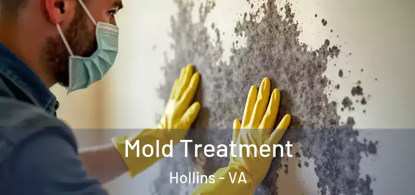 Mold Treatment Hollins - VA