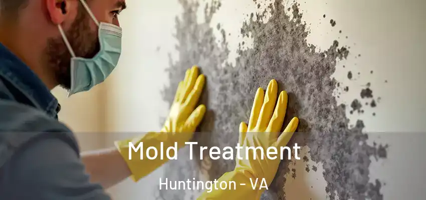  Mold Treatment Huntington - VA