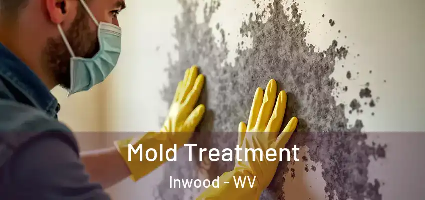 Mold Treatment Inwood - WV