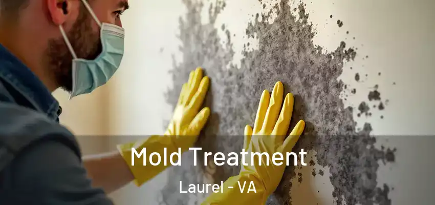 Mold Treatment Laurel - VA