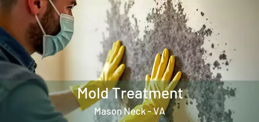  Mold Treatment Mason Neck - VA
