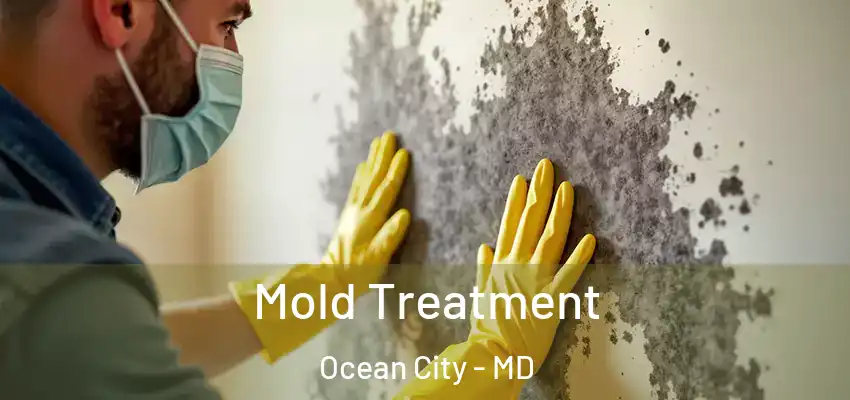 Mold Treatment Ocean City - MD