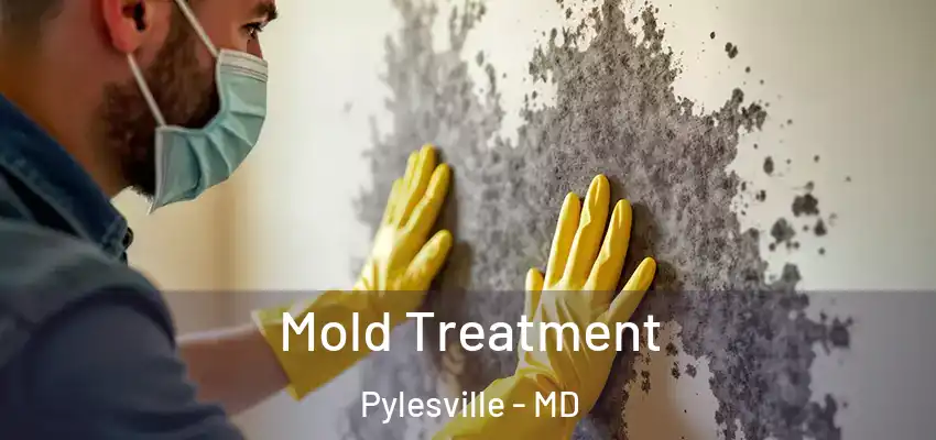 Mold Treatment Pylesville - MD